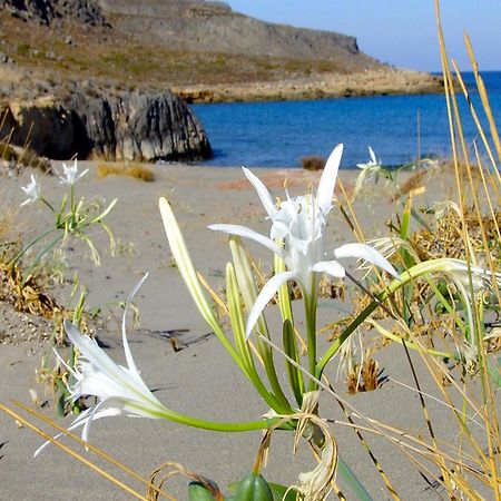Olive Coast Suites Palekastro Luaran gambar