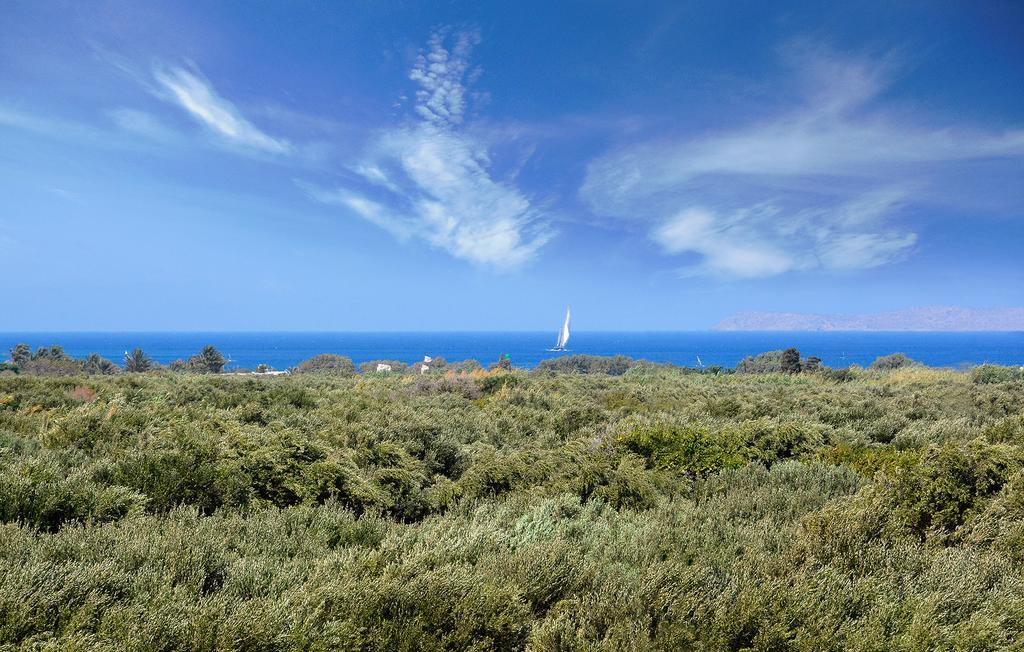 Olive Coast Suites Palekastro Luaran gambar
